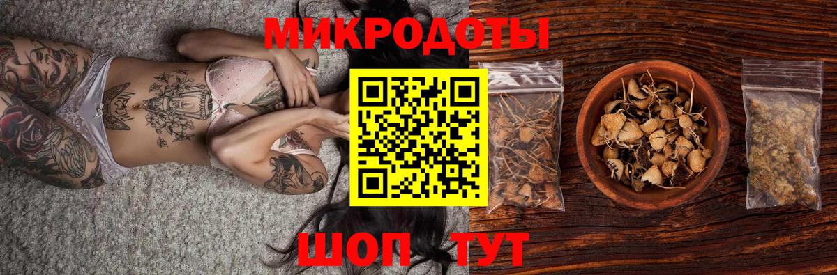 Псилоцибиновые грибы прущие грибы Боровичи